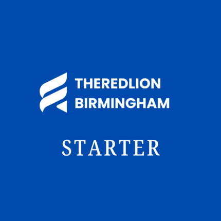 Starter seo plan subscription